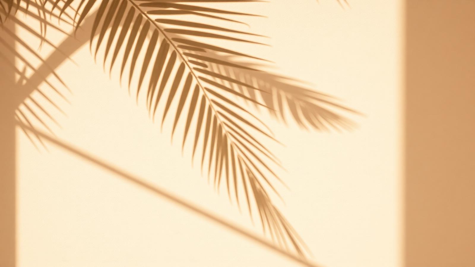 Palm shadow on warm wall